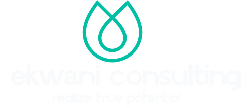 Ekwani Consulting